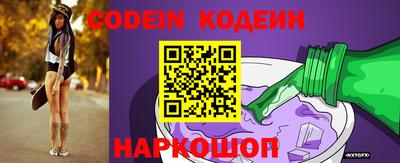 индика Пенза
