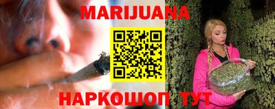 индика Пенза