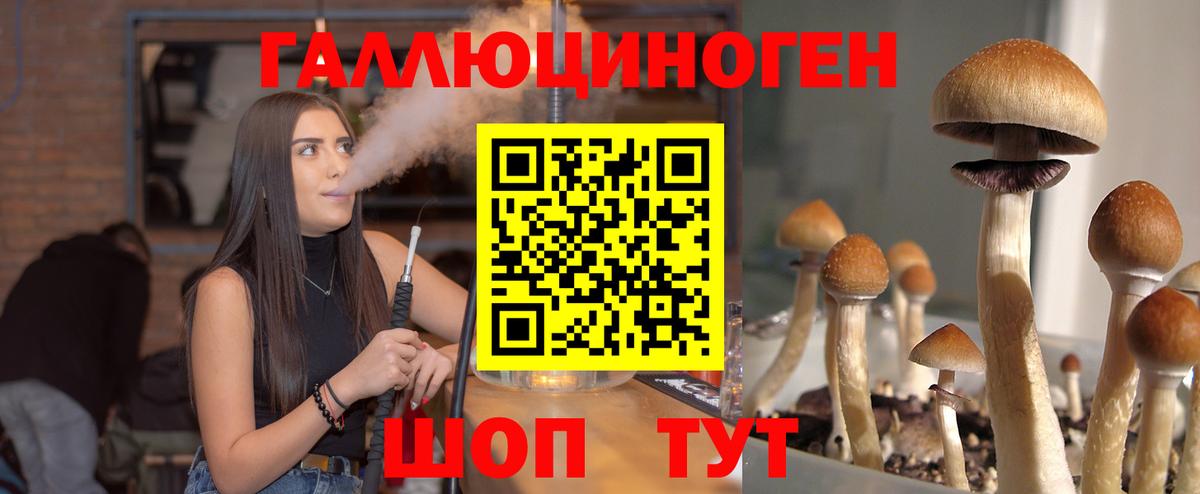 Псилоцибиновые грибы Psilocybine cubensis  Вход с VPN  Галлюциногенные грибы GOLDEN TEACHER  Тайшет 